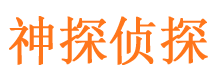 新野婚外情调查取证